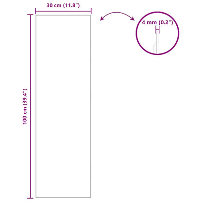 Specchio da parete Rettangolare 30 x 100 cm vetro temperato | homemem39