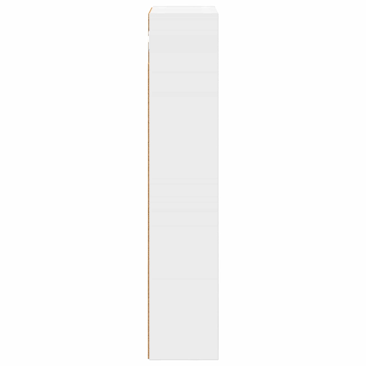 Armadio da bagno a muro con lo scaffale Bianco 30 x 14 x 70 cm