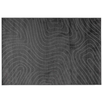 Tappeti per area PALMERAS Antracite 230 x 160 cm Poliestere | homemem39
