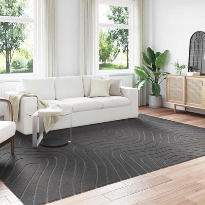 Tappeti per area PALMERAS Antracite 340 x 240 cm Poliestere