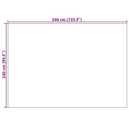 Tappeti per area Rettangolare LUGO Talpa 240 x 340 cm | homemem39