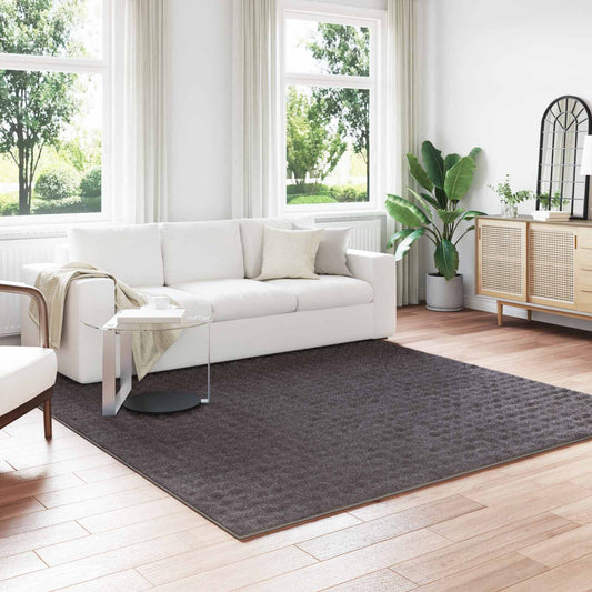 Tappeti per area SIROLO Antracite 240 x 240 cm Poliestere