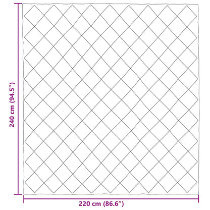 Piumone Completo Annuale Antracite 220 x 240 cm Microfibra