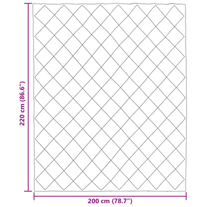 Duvet Invernale Talpa 220 x 200 cm Microfibra