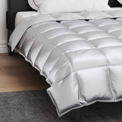 Duvet Invernale Argento 220 x 260 cm Satin e Micropile
