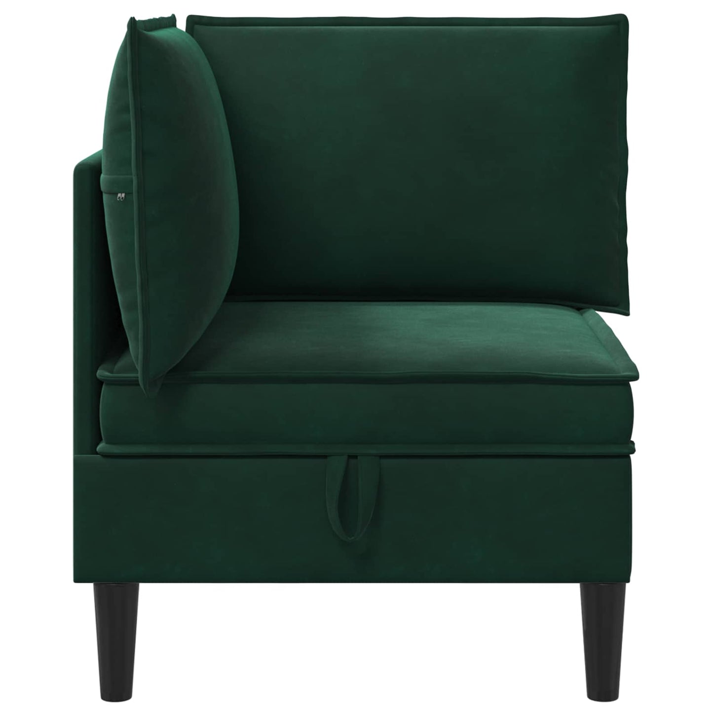 Divano con Stoccaggio Verde Scuro Velluto | homemem39