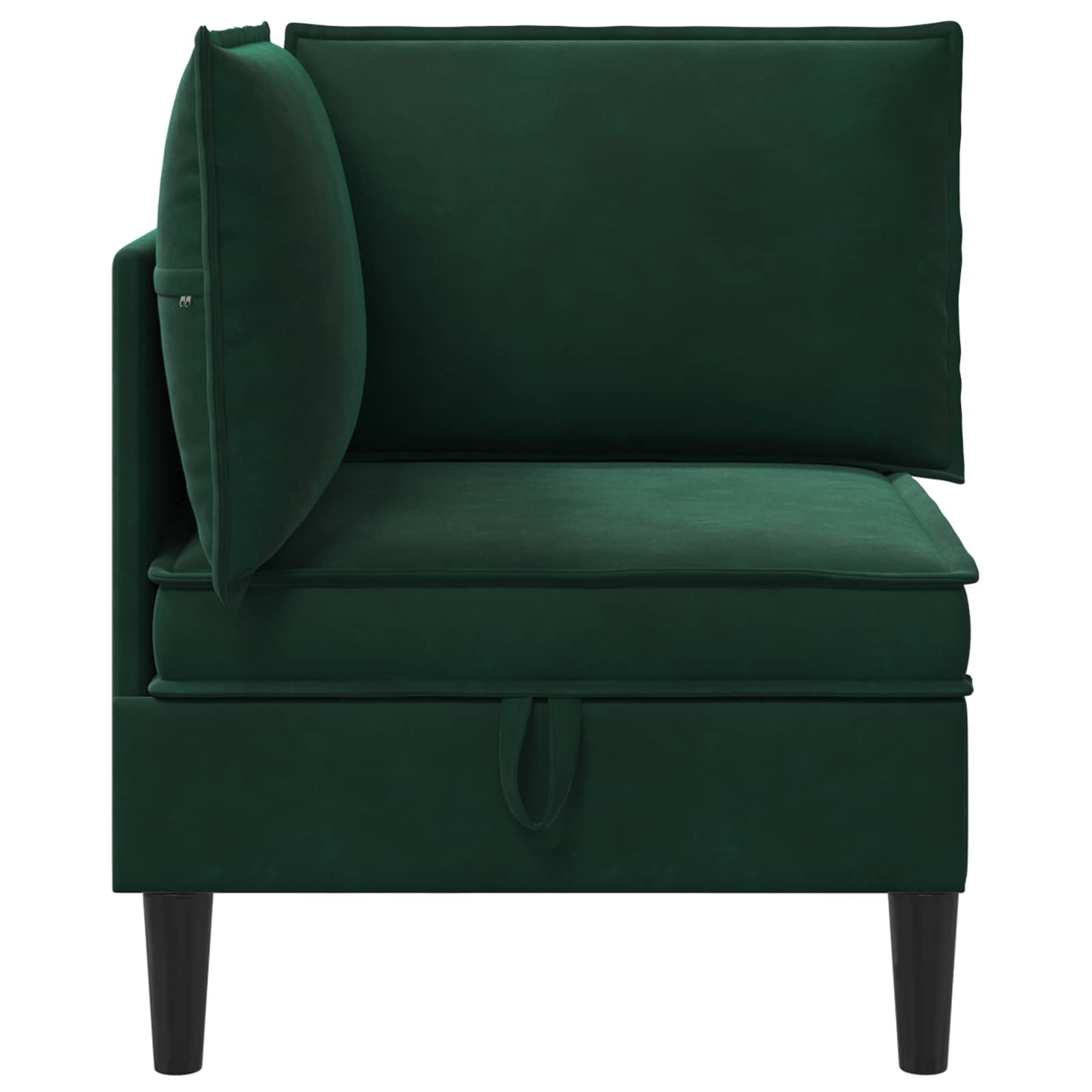 Divano con Stoccaggio Verde Scuro Velluto | homemem39