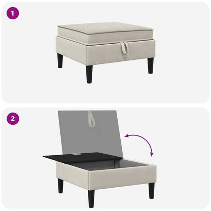 Pouf con Storage Avena Velluto | homemem39