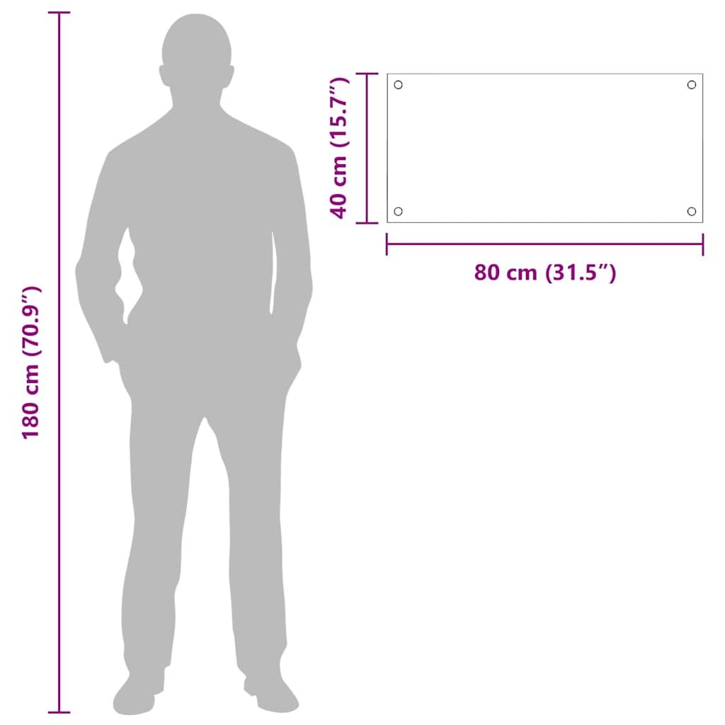 Rivestimento da Cucina 2 pcs Trasparente 80 x 40 cm