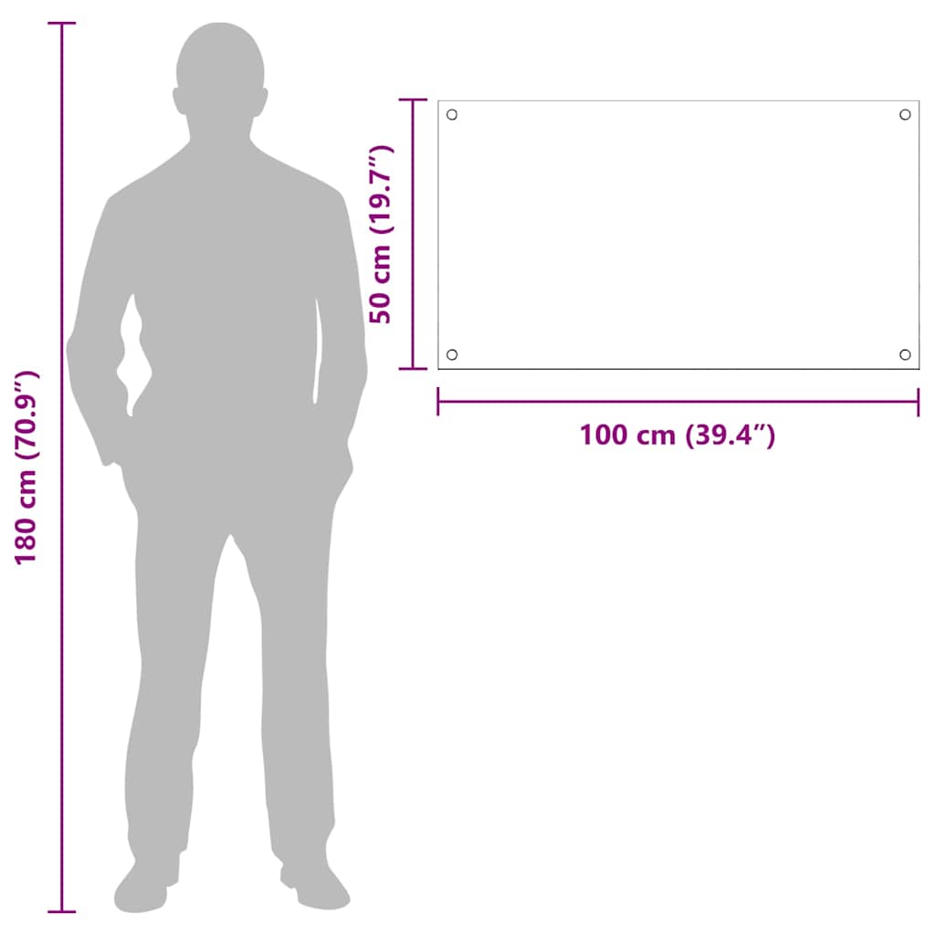 Rivestimento da Cucina 2 pcs Trasparente 100 x 50 cm