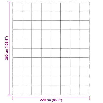 Duvet Estivo Trapuntato Antracite 220 x 260 cm Microfibra | homemem39