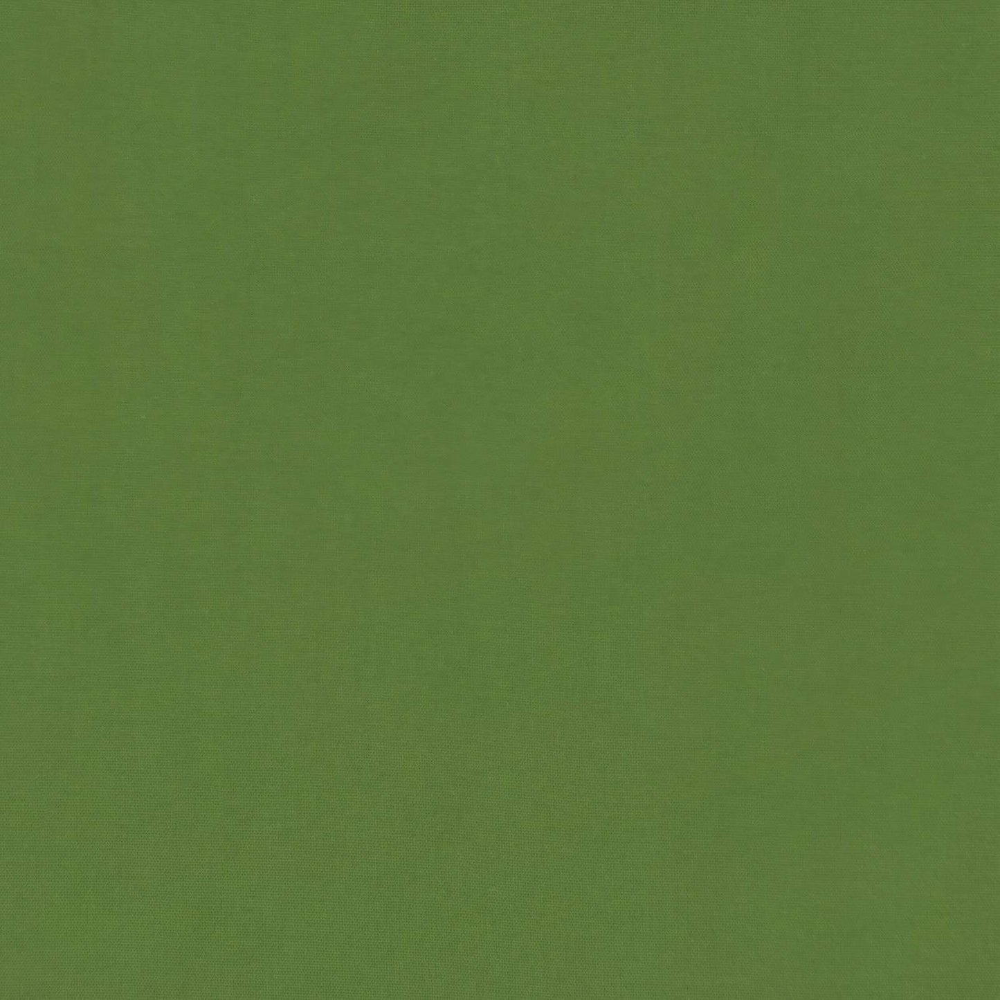 Duvet Invernale Trapuntato Verde 240 x 260 cm Microfibra | homemem39