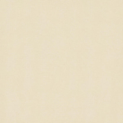 Duvet Invernale Trapuntato Crema 200 x 220 cm Microfibra | homemem39