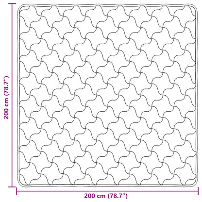 Piumone Completo Annuale Trapuntato Talpa 200 x 200 cm | homemem39