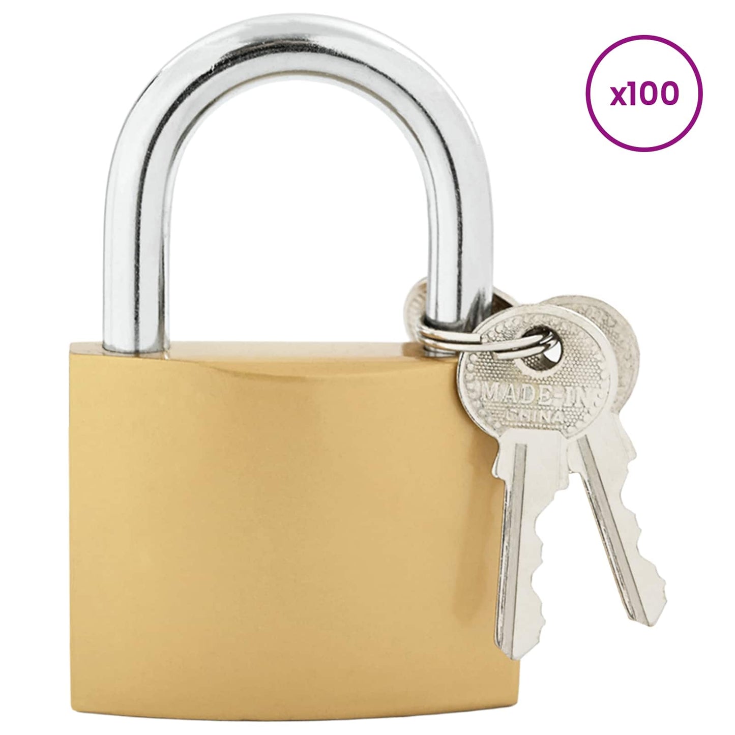 U Lock con Chiavi Ottone 6 x 2 x 9,1 cm Ferro