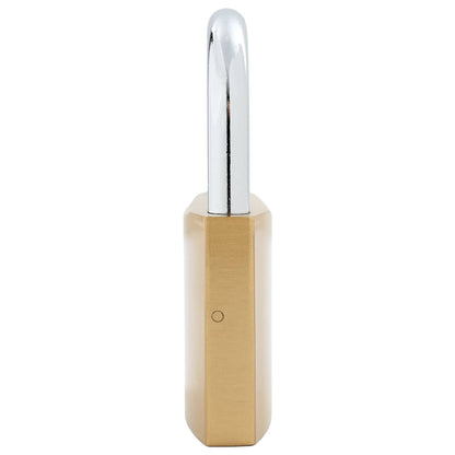 U Lock con Chiavi Ottone 6 x 2 x 9,1 cm Ferro