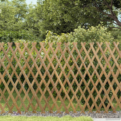 Recinto Trellis Espandibile 2 pcs Marrone Chiaro 100 x 105 cm | homemem39
