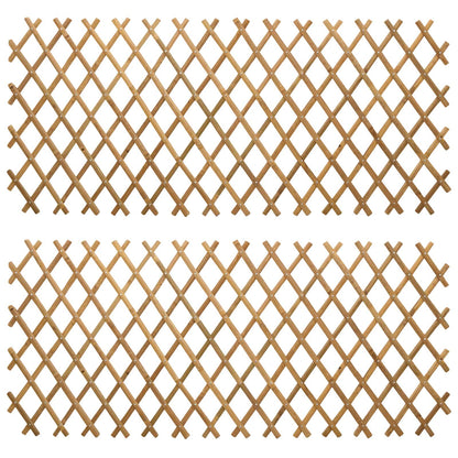 Recinto Trellis Espandibile 2 pcs Marrone Chiaro 100 x 105 cm | homemem39