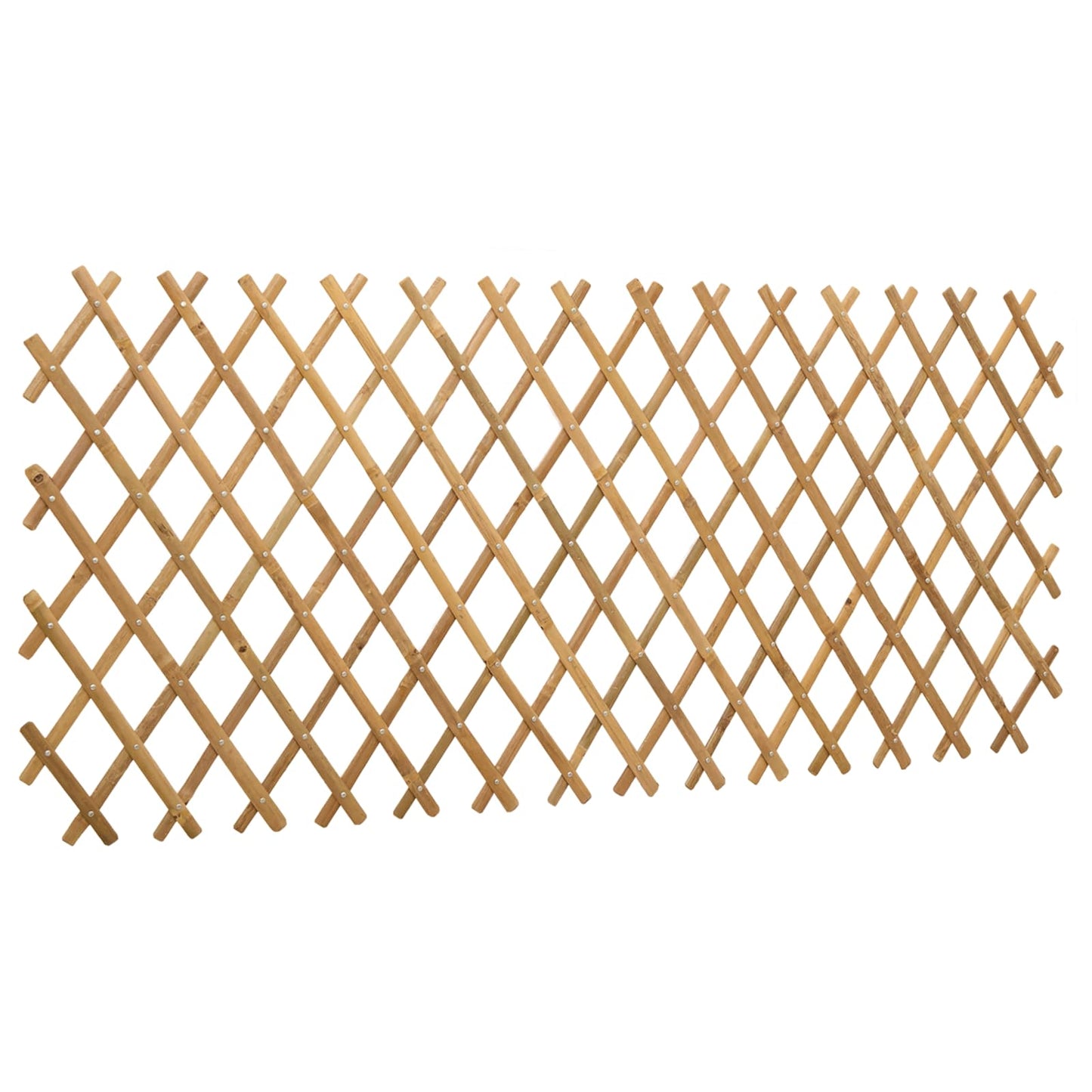 Recinto Trellis Espandibile 2 pcs Marrone Chiaro 100 x 105 cm | homemem39