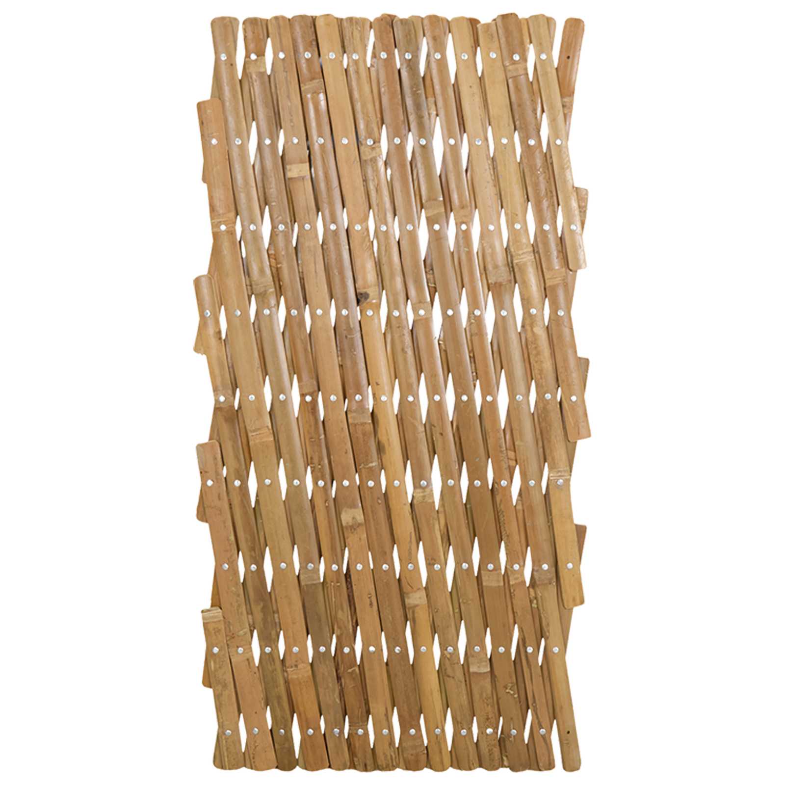 Recinto Trellis Espandibile 2 pcs Marrone Chiaro 100 x 105 cm | homemem39