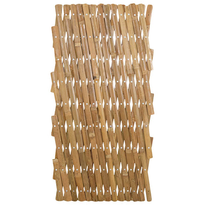 Recinto Trellis Espandibile 2 pcs Marrone Chiaro 100 x 105 cm | homemem39