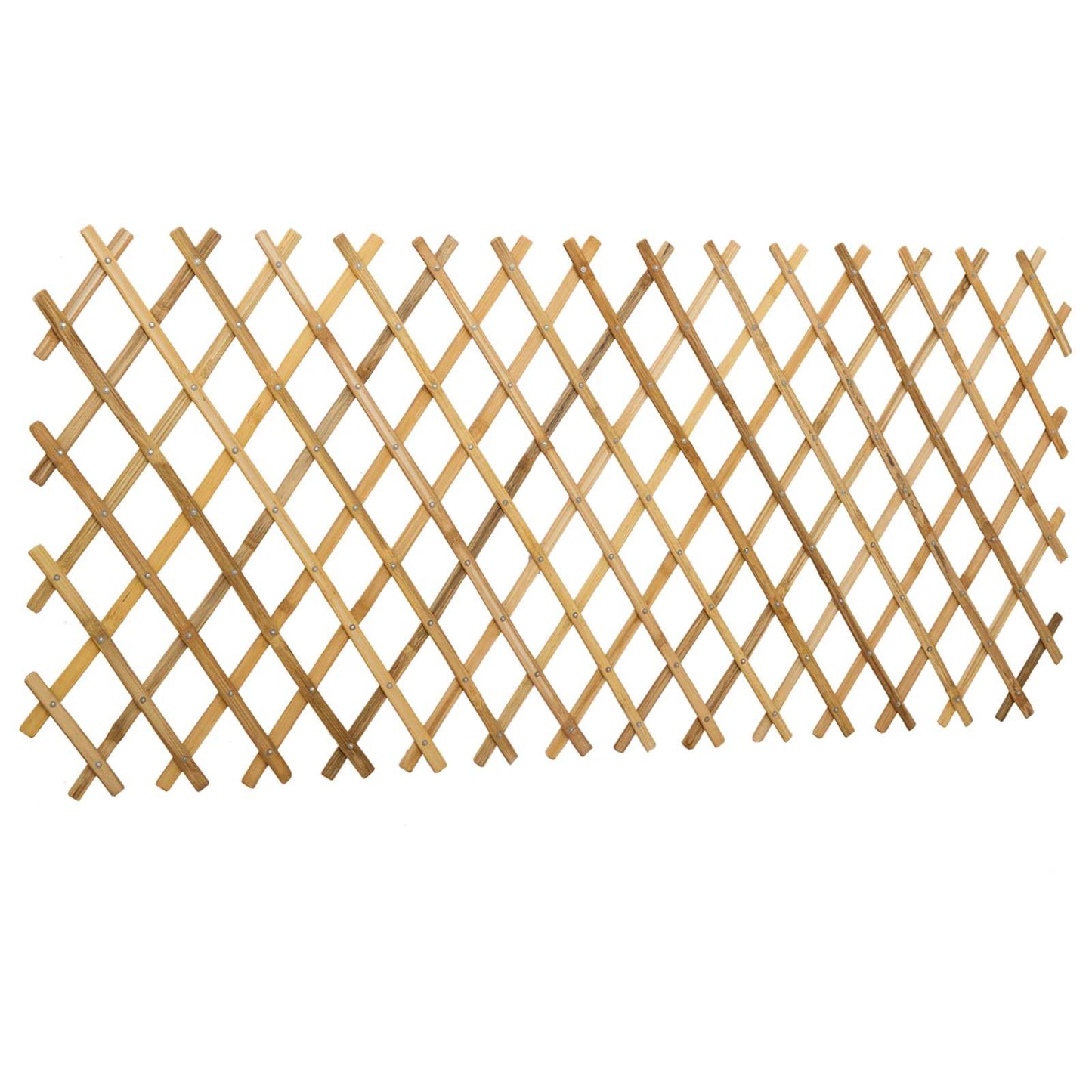Recinto Trellis Espandibile 2 pcs Marrone Chiaro 100 x 105 cm | homemem39