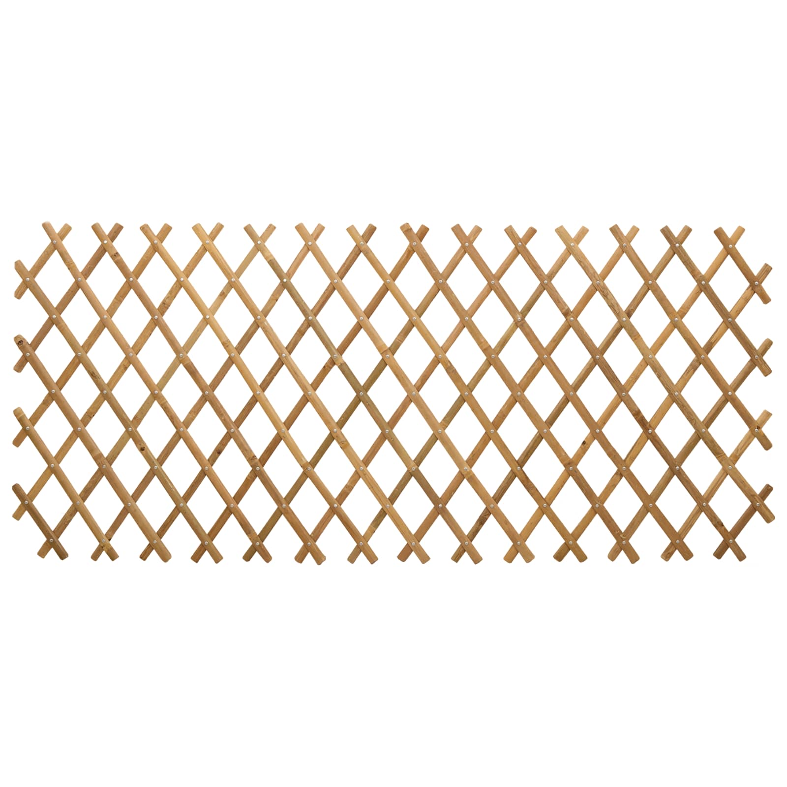 Recinto Trellis Espandibile 2 pcs Marrone Chiaro 100 x 105 cm | homemem39
