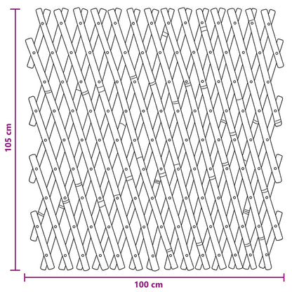 Recinto Trellis Espandibile 2 pcs Marrone Chiaro 100 x 105 cm