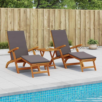 Lettino prendisole reclinabile e pieghevole 2 pcs Grigio | homemem39