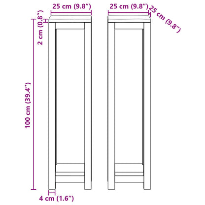 Supporto per piante 2 pz Naturale 25 x 25 x 100 cm | homemem39