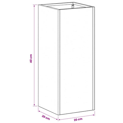 Vaso da giardino 2 pz Nero 20 x 20 x 40 cm