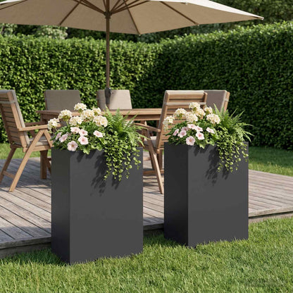 Vaso da giardino 2 pz Nero 40 x 30 x 75 cm | homemem39