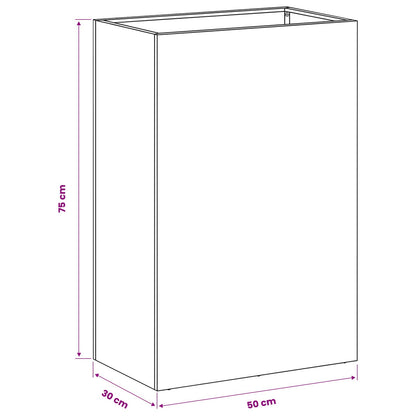 Vaso da giardino 2 pz Antracite 50 x 30 x 75 cm | homemem39