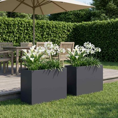 Vaso da giardino 2 pz Antracite 60 x 30 x 40 cm | homemem39