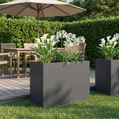 Vaso da giardino Antracite 60 x 30 x 50 cm