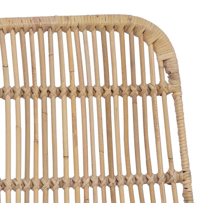 Sedia da pranzo 2 pcs Naturale 41 x 55 x 85 cm Rattan e acciaio | homemem39