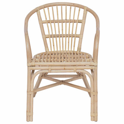 Sedia Impilabile Naturale 58 x 60 x 81 cm Rattan