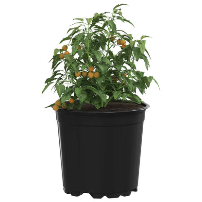 Vaso per Fiori 100 pcs Nero Ø 15 x 12.5 cm Plastica