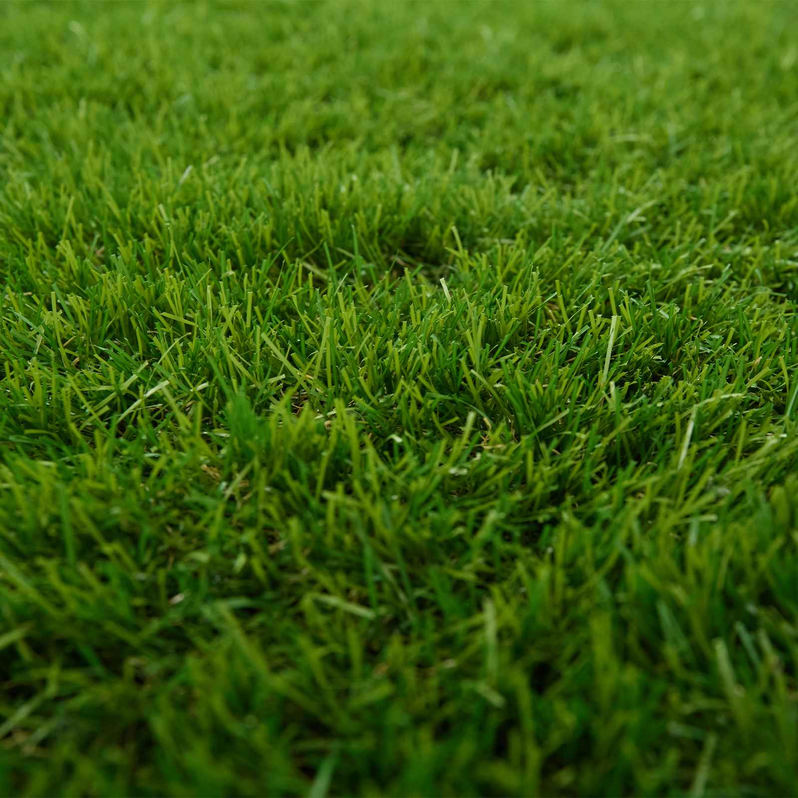 Erba artificiale Verde 1 x 8 m, 50 mm PP e PE | homemem39