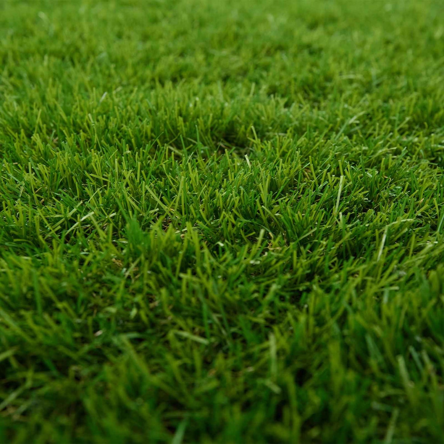 Erba artificiale PP e PE | homemem39