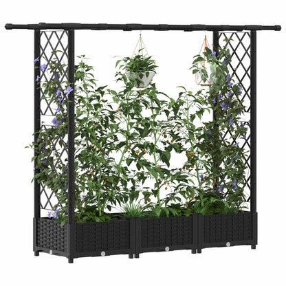 Letto Rialzato con Griglia e Tetto Nero 164 x 40 x 123 cm PP | homemem39