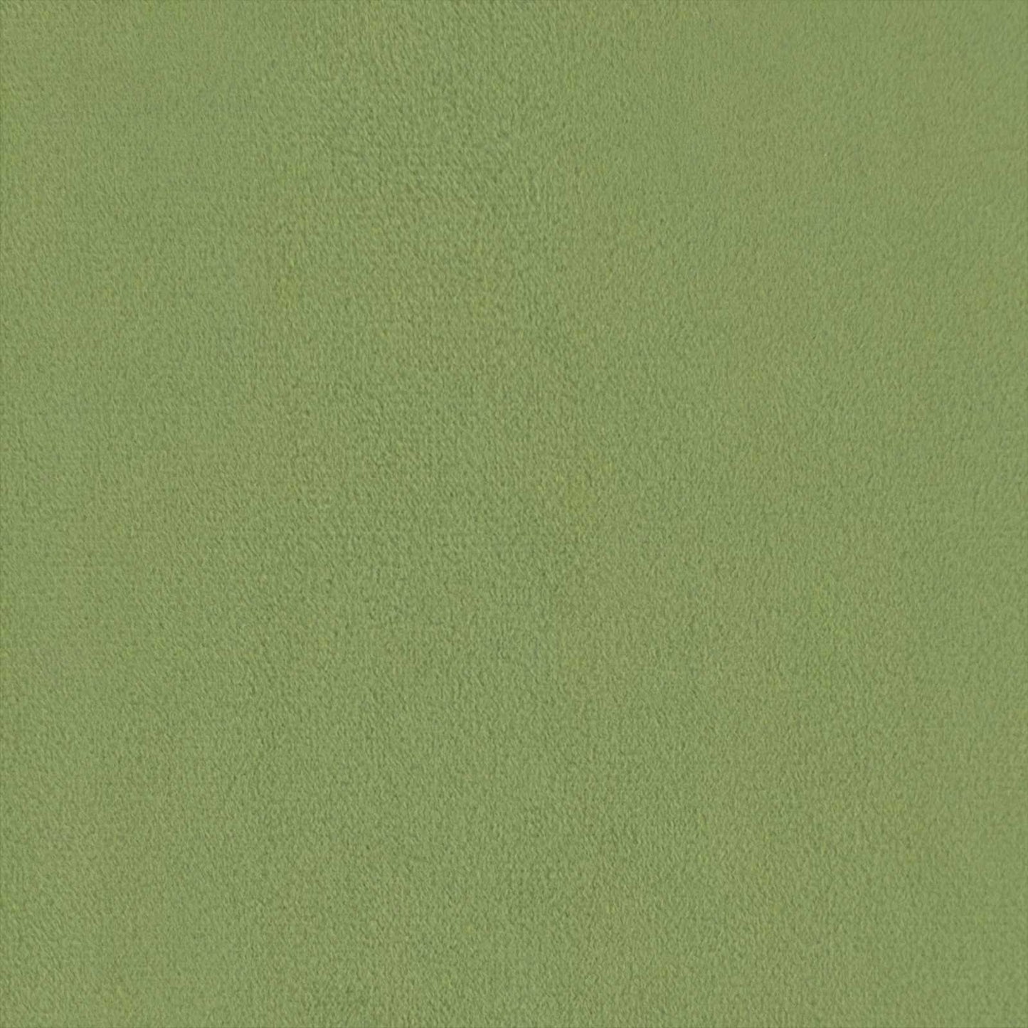 Set di divani 2 pz Verde chiaro Velluto | homemem39
