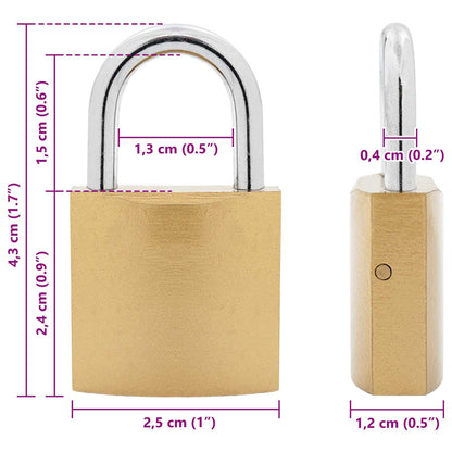 U Lock con Chiavi 12 pcs Ottone Ferro | homemem39