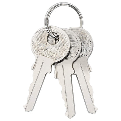 U Lock con Chiavi 2 pcs Ottone Ferro