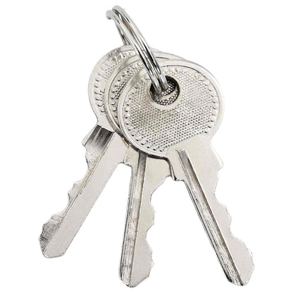 U Lock con Chiavi 12 pcs Ottone Ferro | homemem39