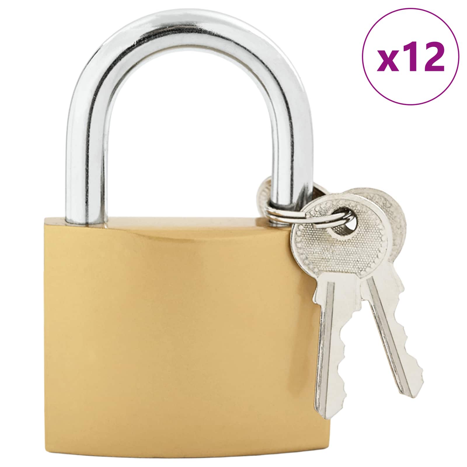 U Lock con Chiavi 12 pcs Ottone Ferro | homemem39