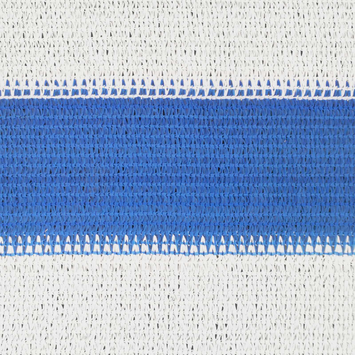 Telo Ombra Rettangolare 3/4 x 3 m HDPE Blu e Bianco
