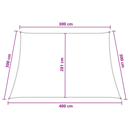 Telo Ombra Rettangolare 3/4 x 3 m HDPE Blu e Bianco