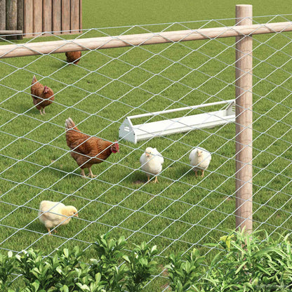 Recinzione a rete metallica Galvanizzato 2 x 20 m Vetro | homemem39