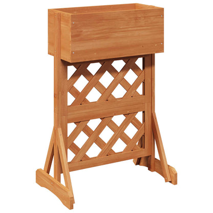 Trellis da Giardino Verticale Arancione 48 x 30 x 70,5 cm | homemem39